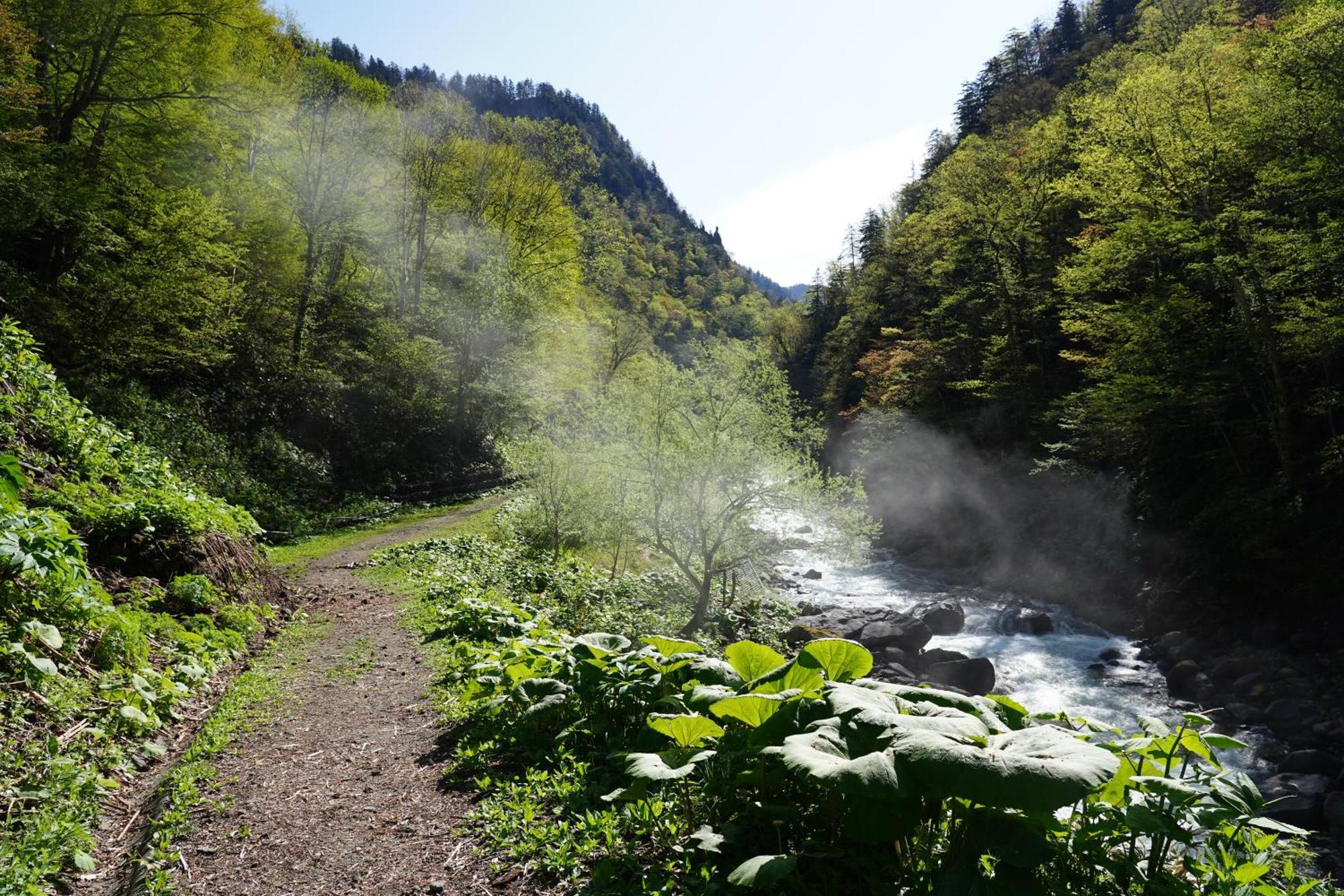 Shikishimaso Hotel Higashikawa Eksteriør billede